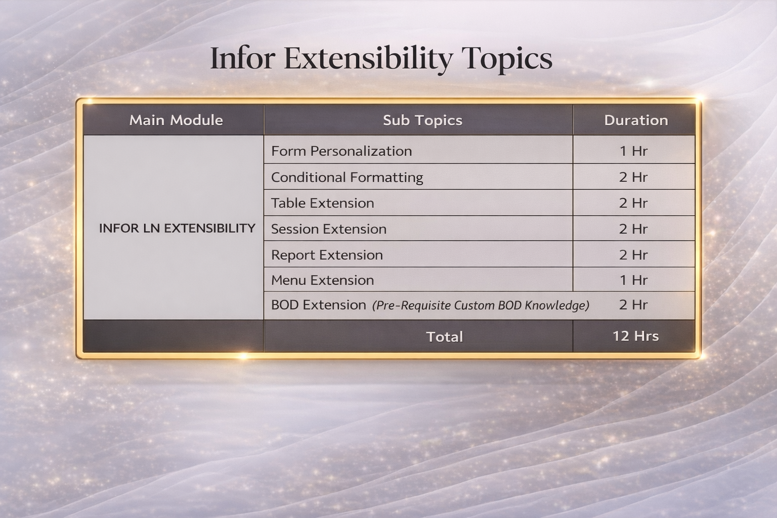 Infor LN Extensions Topics